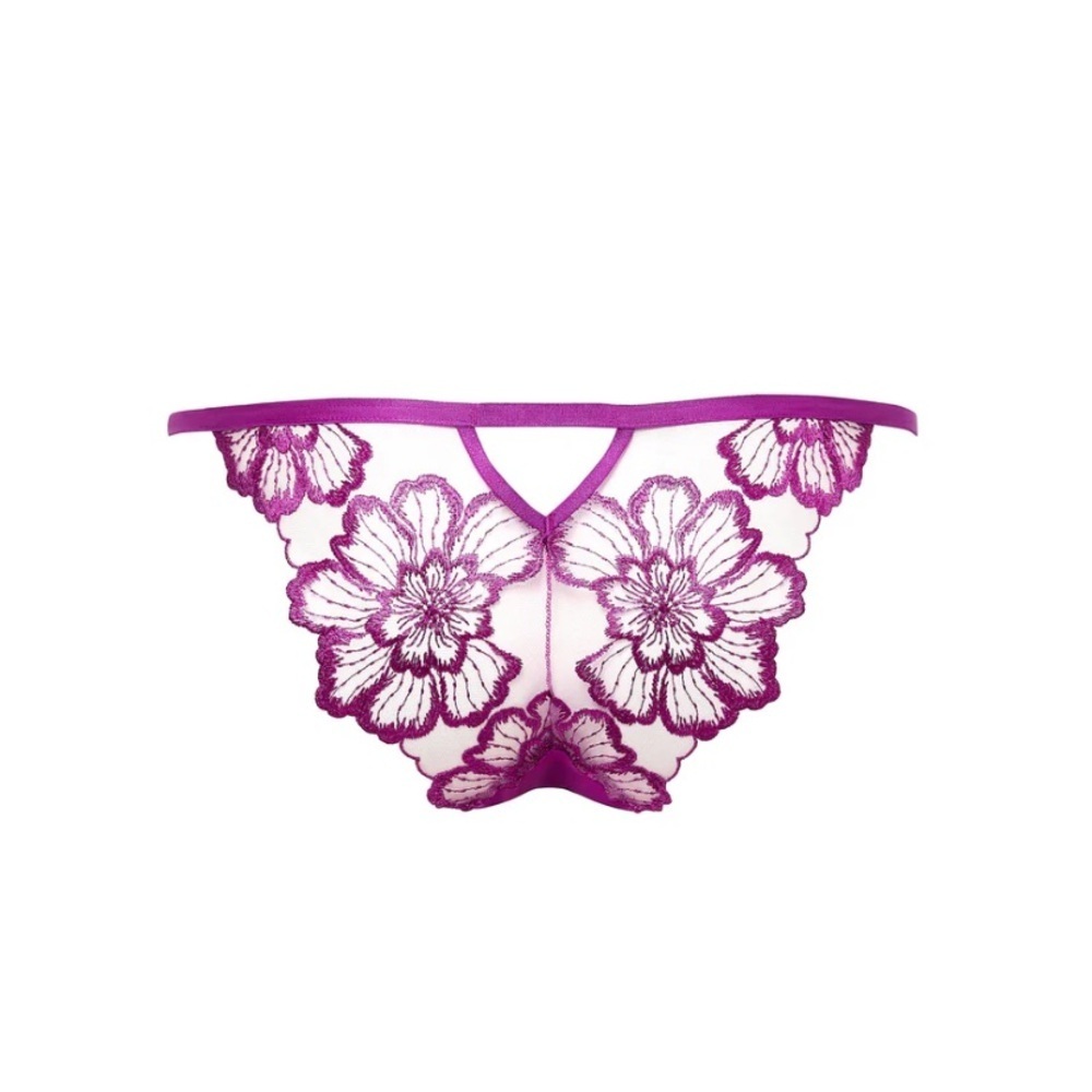 Bluebella Catalina brief size xs , 4 purple new wtags